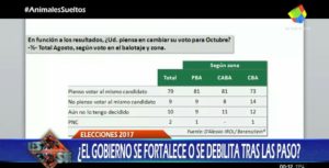 ANIMALES SUELTOS 29-08